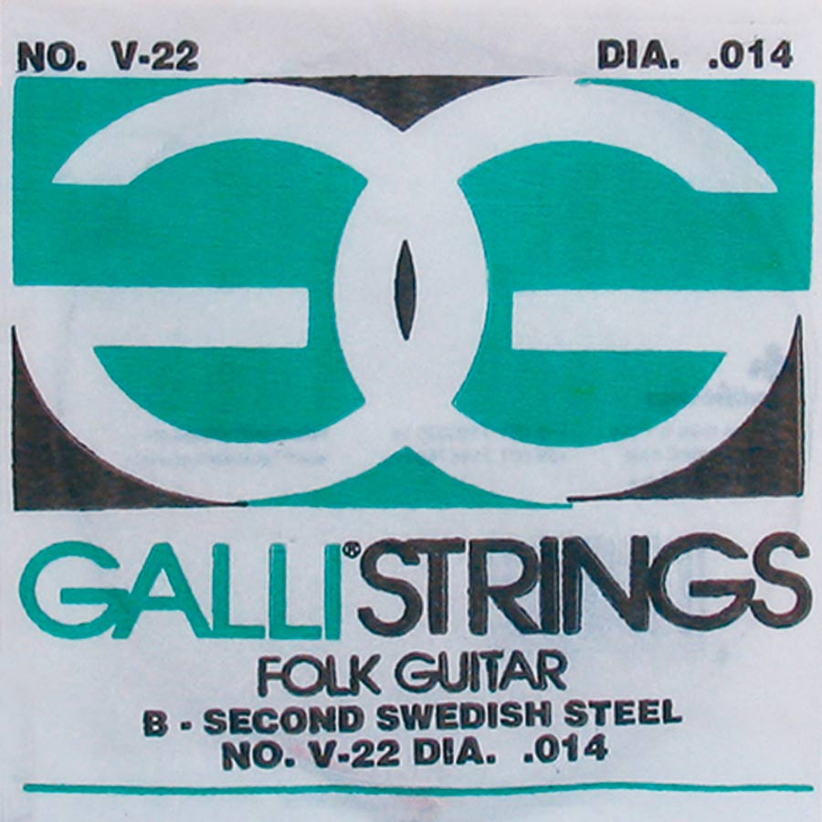 Galli Folk Guitar V-022