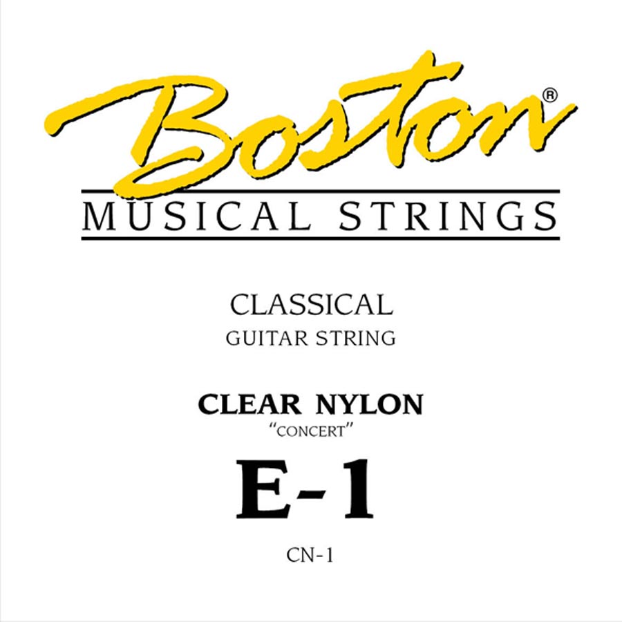 Boston Concert Series E-1 snaar