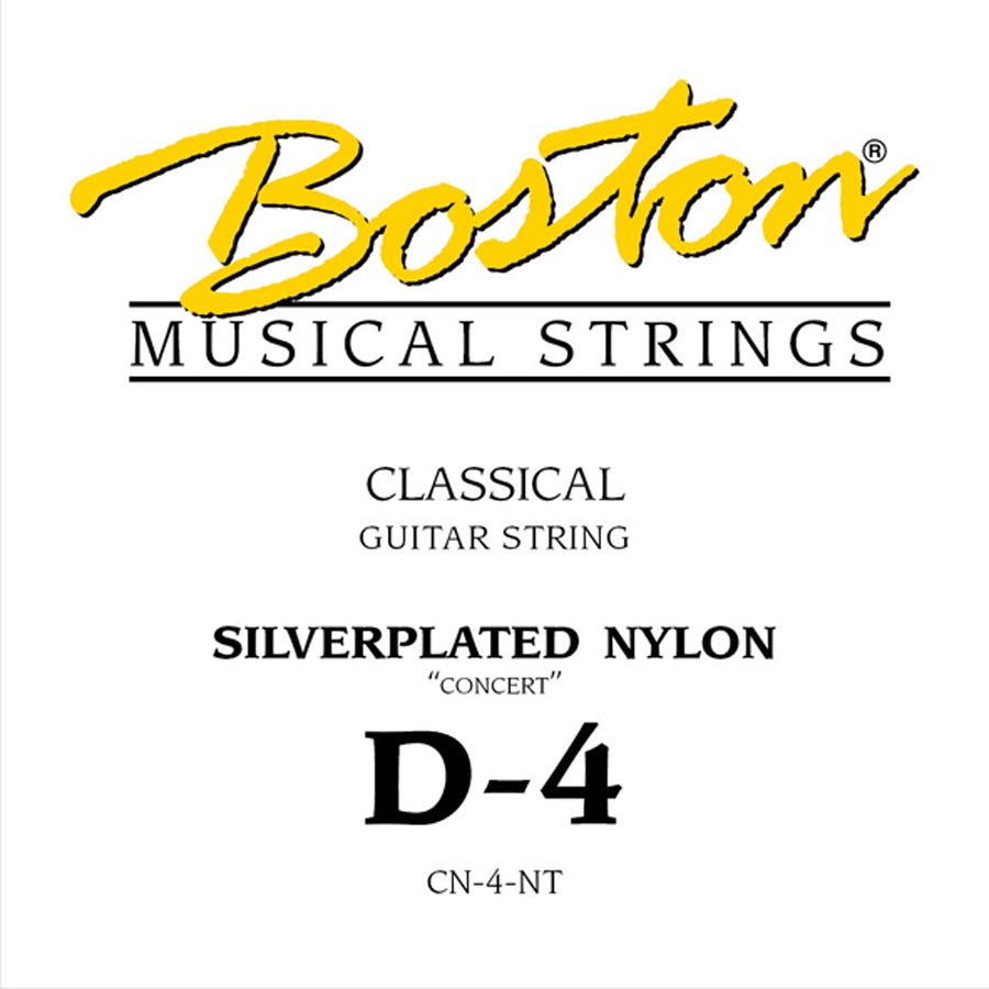 Boston Concert Series D-4 snaar