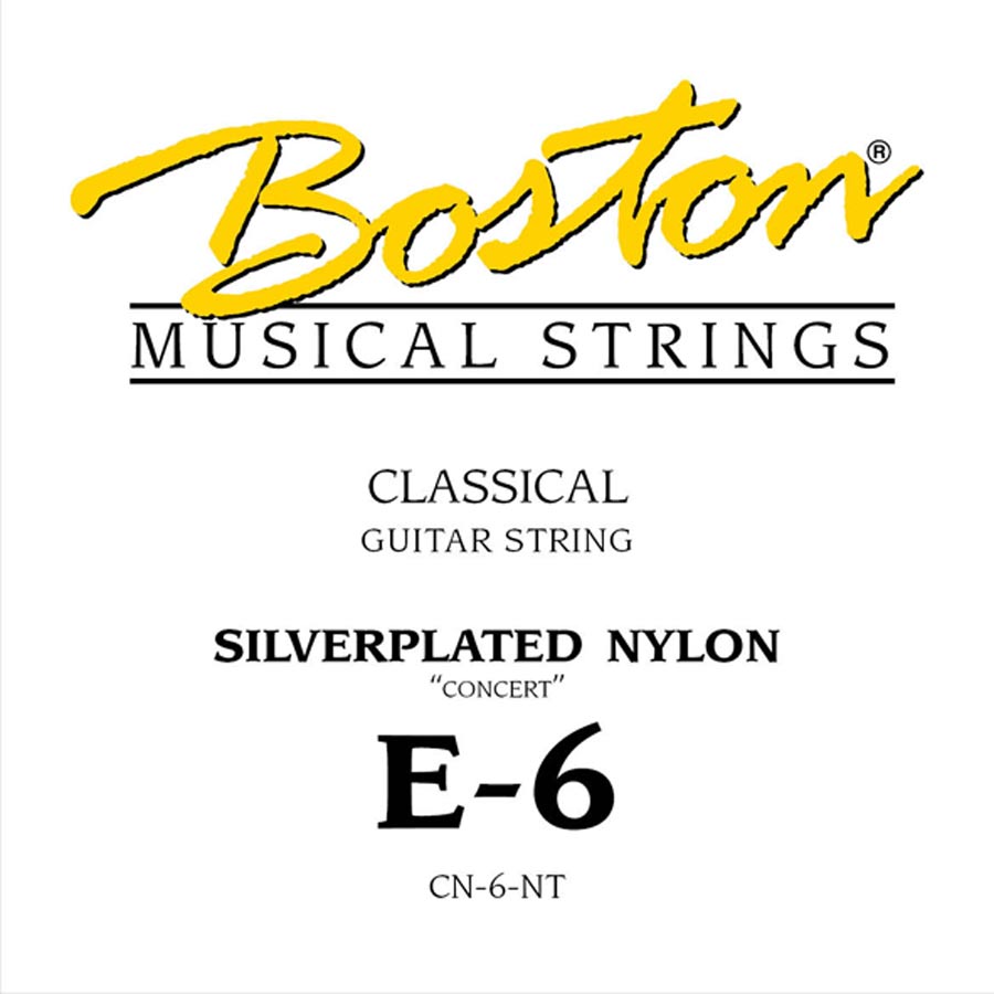 Boston Concert Series E-6 snaar