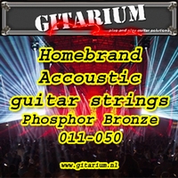 Gitarium huismerk Accoustic Phosfhor Bronze 011