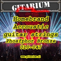 Gitarium huismerk Accoustic Phosfhor Bronze 010