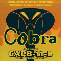 Cobra, akoestische snarenset phosphor, bronze wound