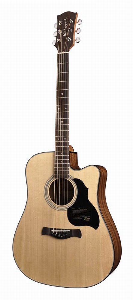 Richwood Master Series D-40-CE