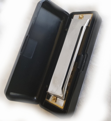 Stagg Blues harp C