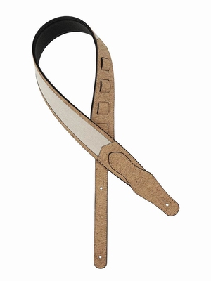 Gaucho Traditional Series guitar  GST-1000