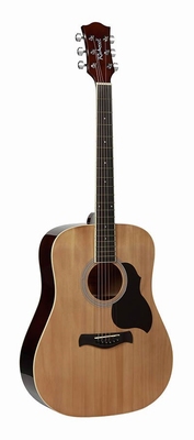 Richwood Artist Series akoestische gitaar