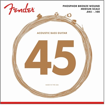 Fender Acoustic Bass snarenset