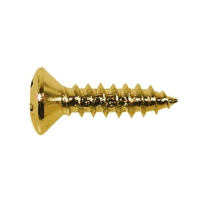 Boston screw  for pickguard, gold