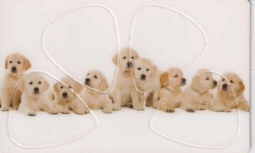 Plectrum kaart Puppys op creditcard formaat
