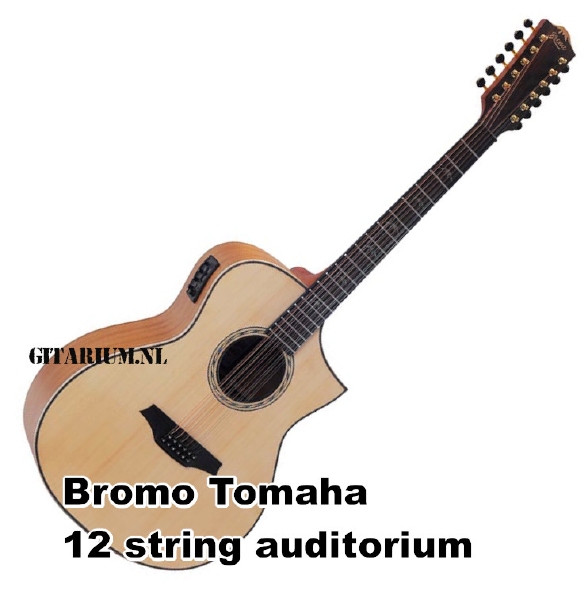 Bromo Tahoma Series 12-string