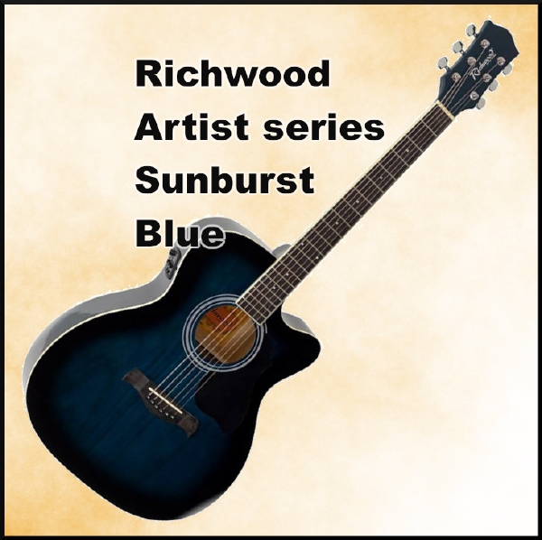 Richwood Artist Series acoustic guitar, dreadnought model