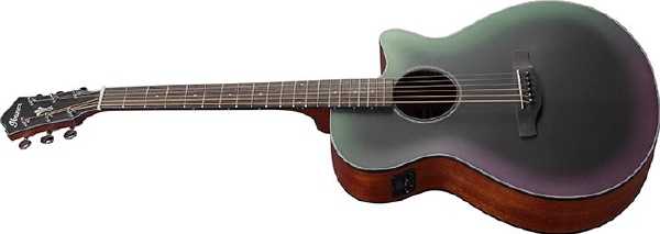 Ibanez AEG50 western gitaar akoestisch-elektrisch