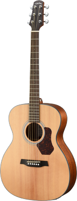 WALDEN Folkgitaar, Orchestra Model