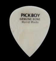Pickboy  Bone pick