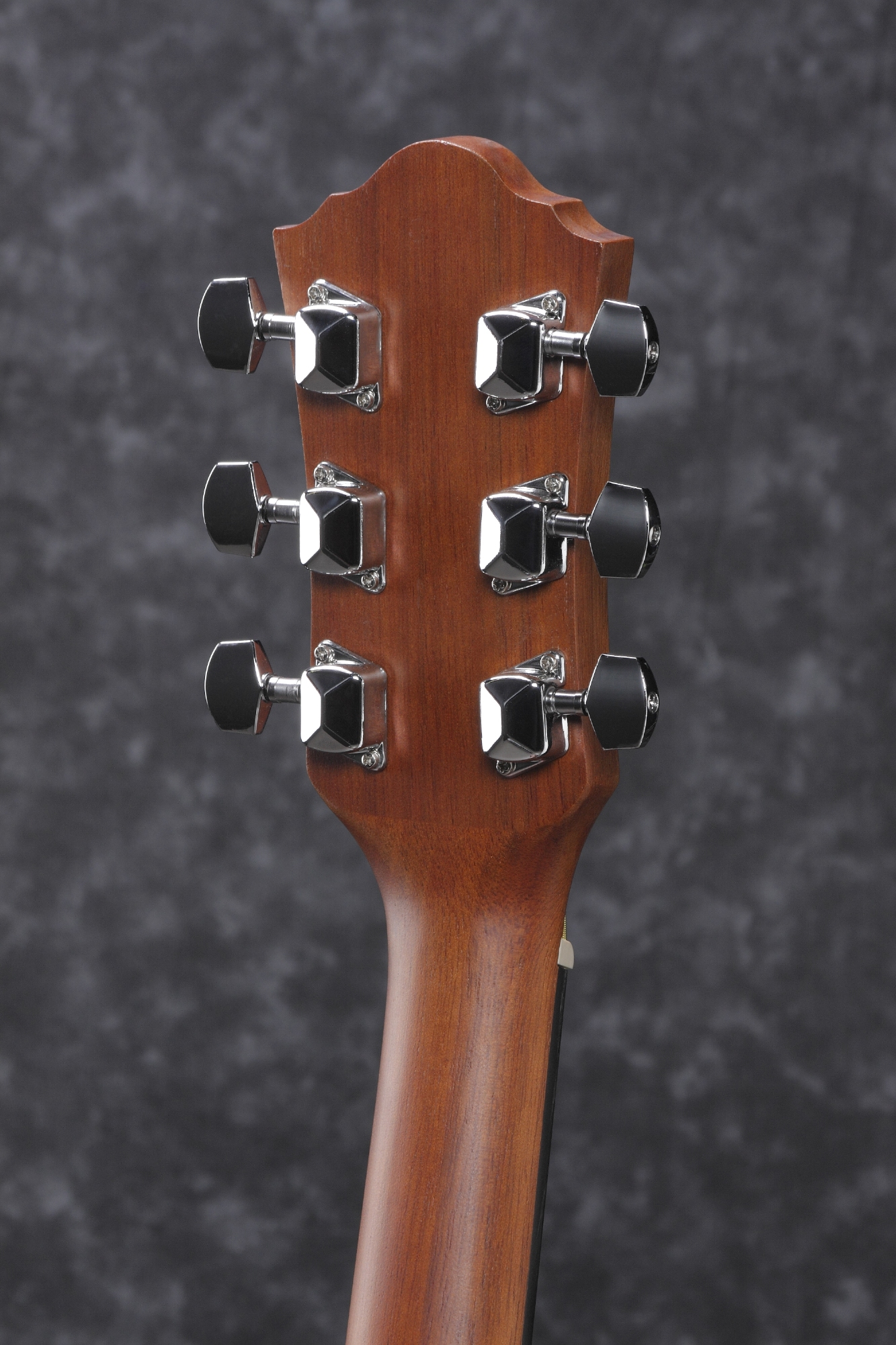 Ibanez akoestische gitaar Jampack