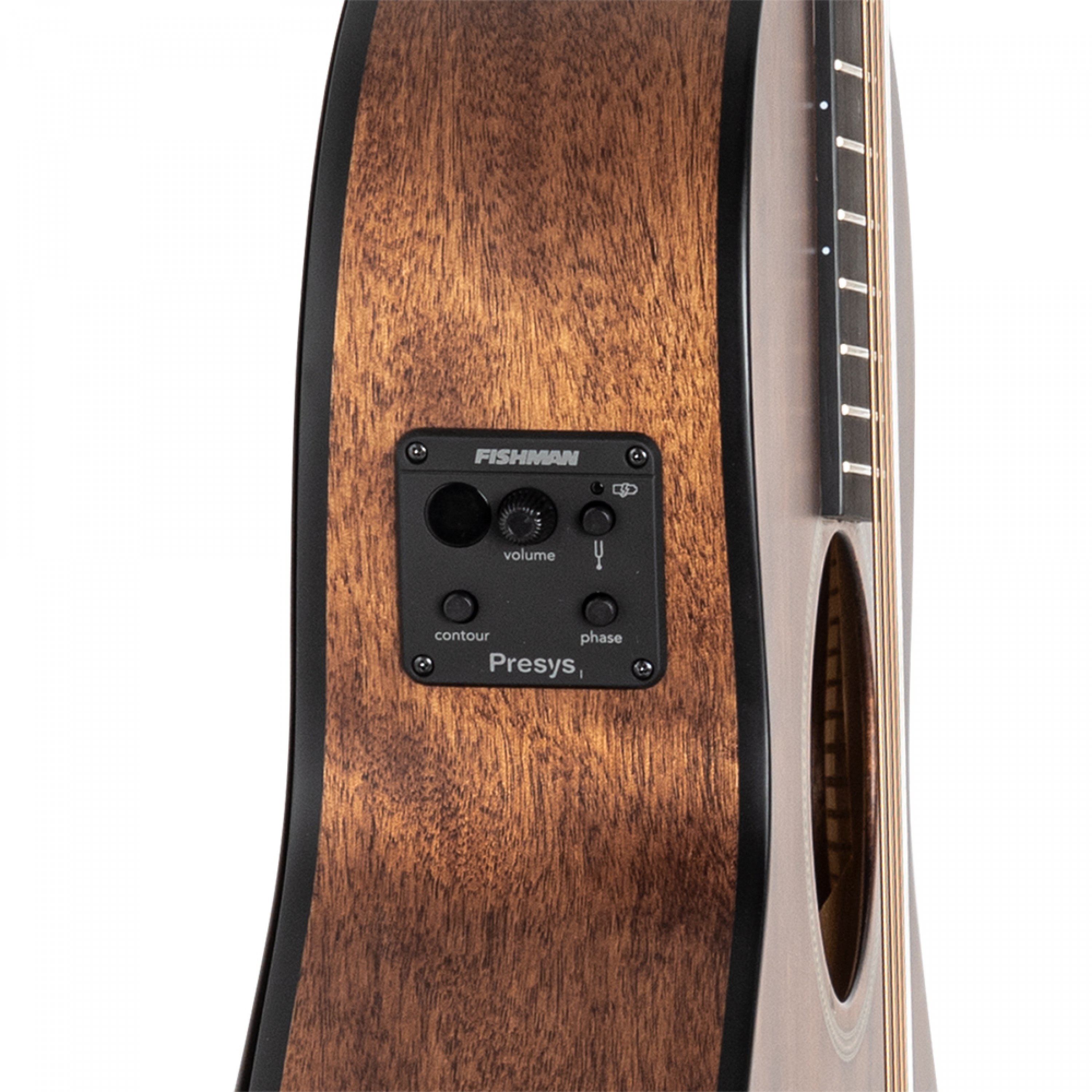 J.N Acoustic-electric parlor guitar