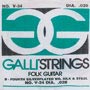 Galli Folk Guitar V-024