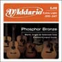 D'Addario Phosphor Bronze snarenset akoestisch