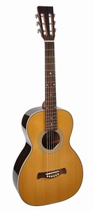 Richwood Master Series P-65-VA