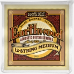 Ernie ball Akoestiche snaren set Medium 12 strings