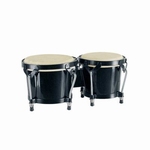 Hayman bongo.