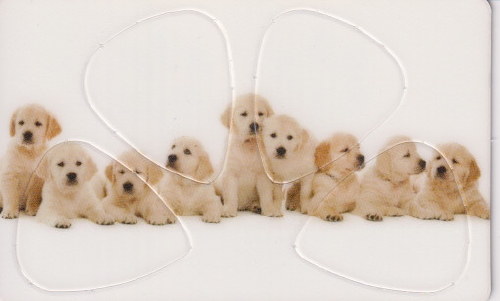 Plectrum kaart Puppys op creditcard formaat
